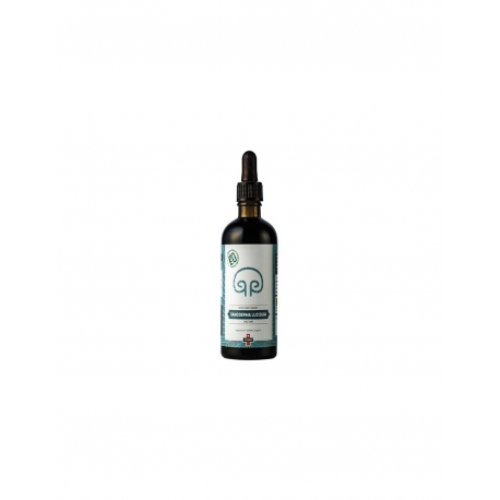 Ganoderma lucidum tinktura 50 ml
