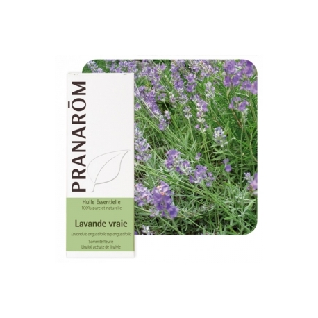 ET ULJE LAVANDA 10 ML PRANAROM