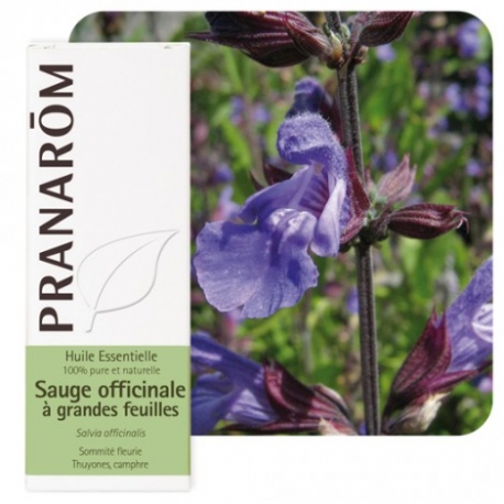 ET ULJE KADULJA 10 ML PRANAROM