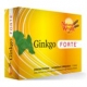NW GINKGO FORTE