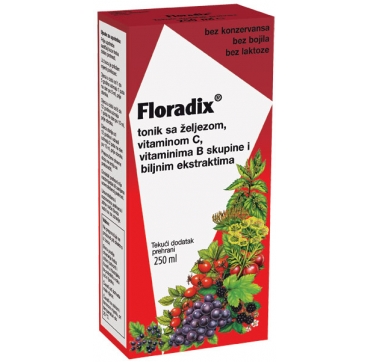 FLORADIX SIRUP 250ML 