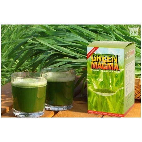 ZELENA MAGMA PRAH BIOVEGA 150 G