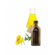 Oleotherapy Ulje Noćurka 100 ml