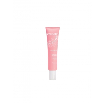 Caudalie Vinosource Sorbet krema 40 g