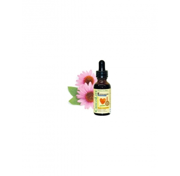 Child Life Echinacea 29,6ml