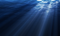 Operil more sprej za nos