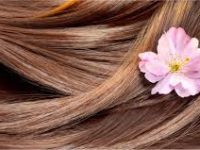 Potpunija njega kose uz novi asortiman četki i češljeva